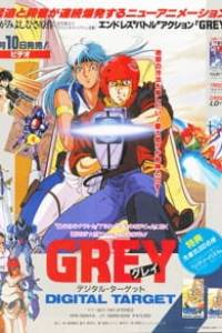 Grey Digital Target