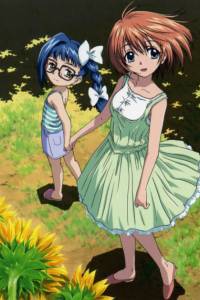 Asatte no Houkou