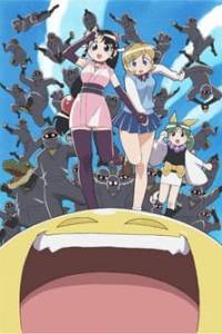 Ninin ga Shinobuden: The Nonsense Kunoichi Fiction