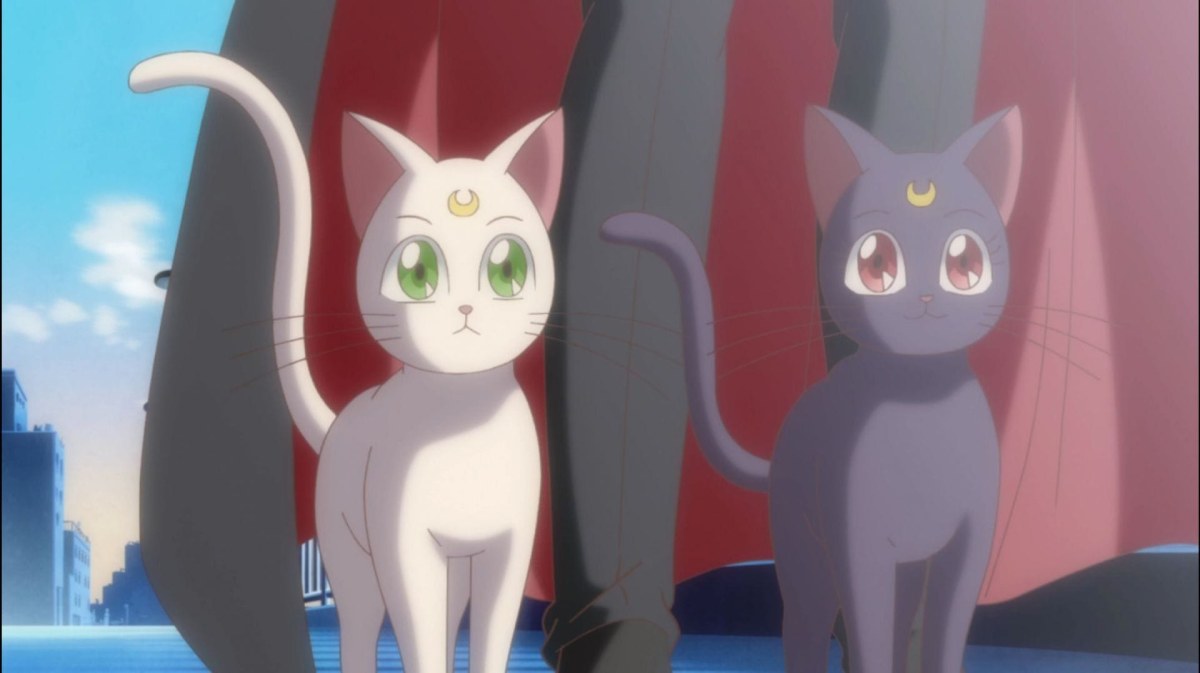 Luna y Artemis: Desentrañando el Misterio de los Mentores Felinos que Protegieron a las Sailor Senshi