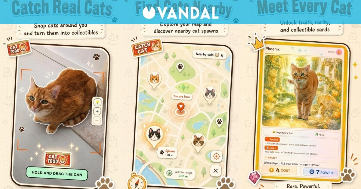 CatchCat: La nueva fiebre de coleccionar gatos reales en tu móvil