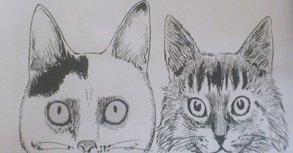 El diario gatuno de Junji Ito: Cuando el terror se vuelve doméstico